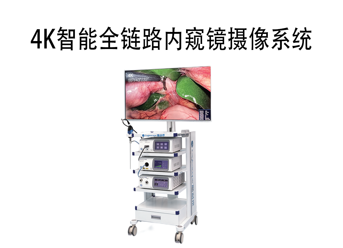 4K全链路内窥镜摄像系统